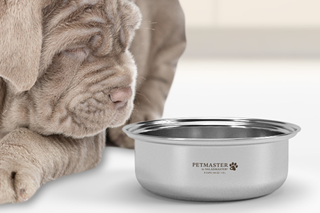 Saladmaster Pet Bowl